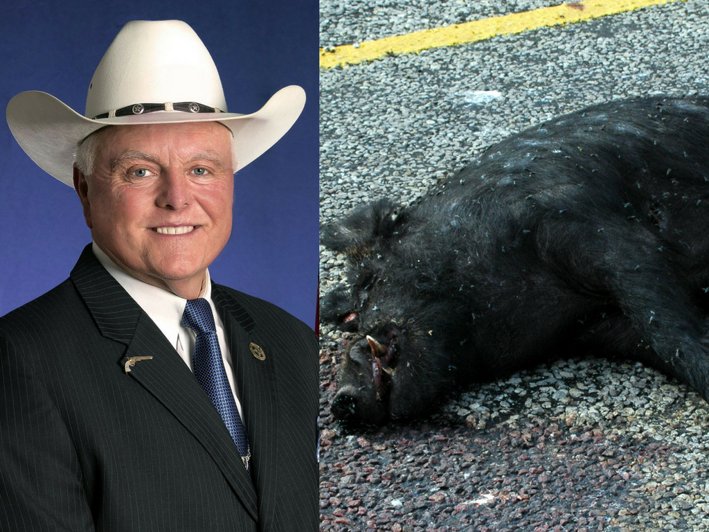 sid miller