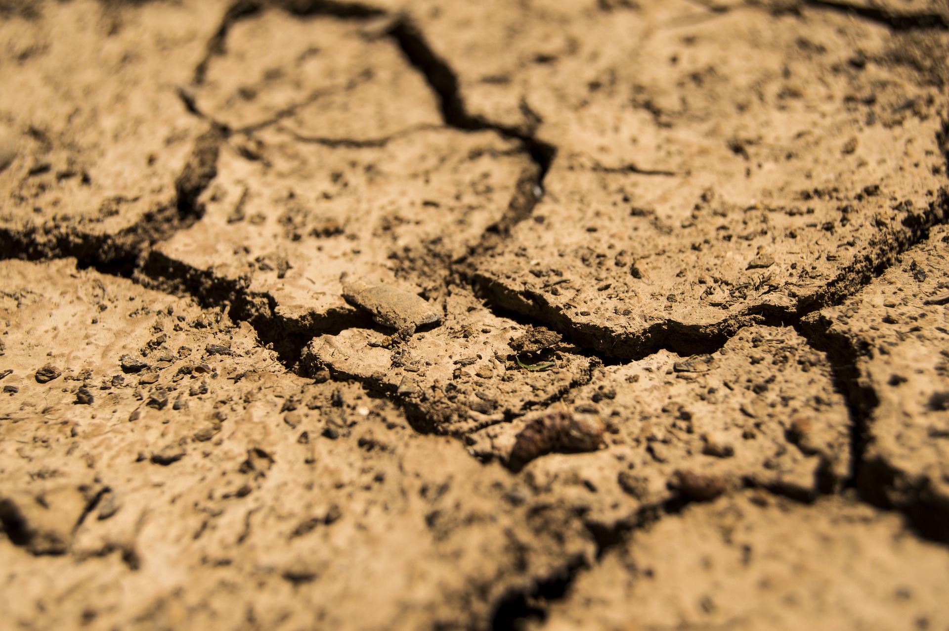 Texas Drought