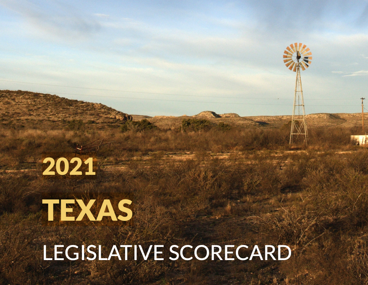 Texas Legislative Scorecard 2021