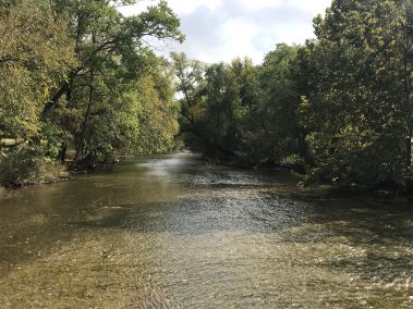 Brushy Creek