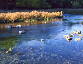 Texas Creek
