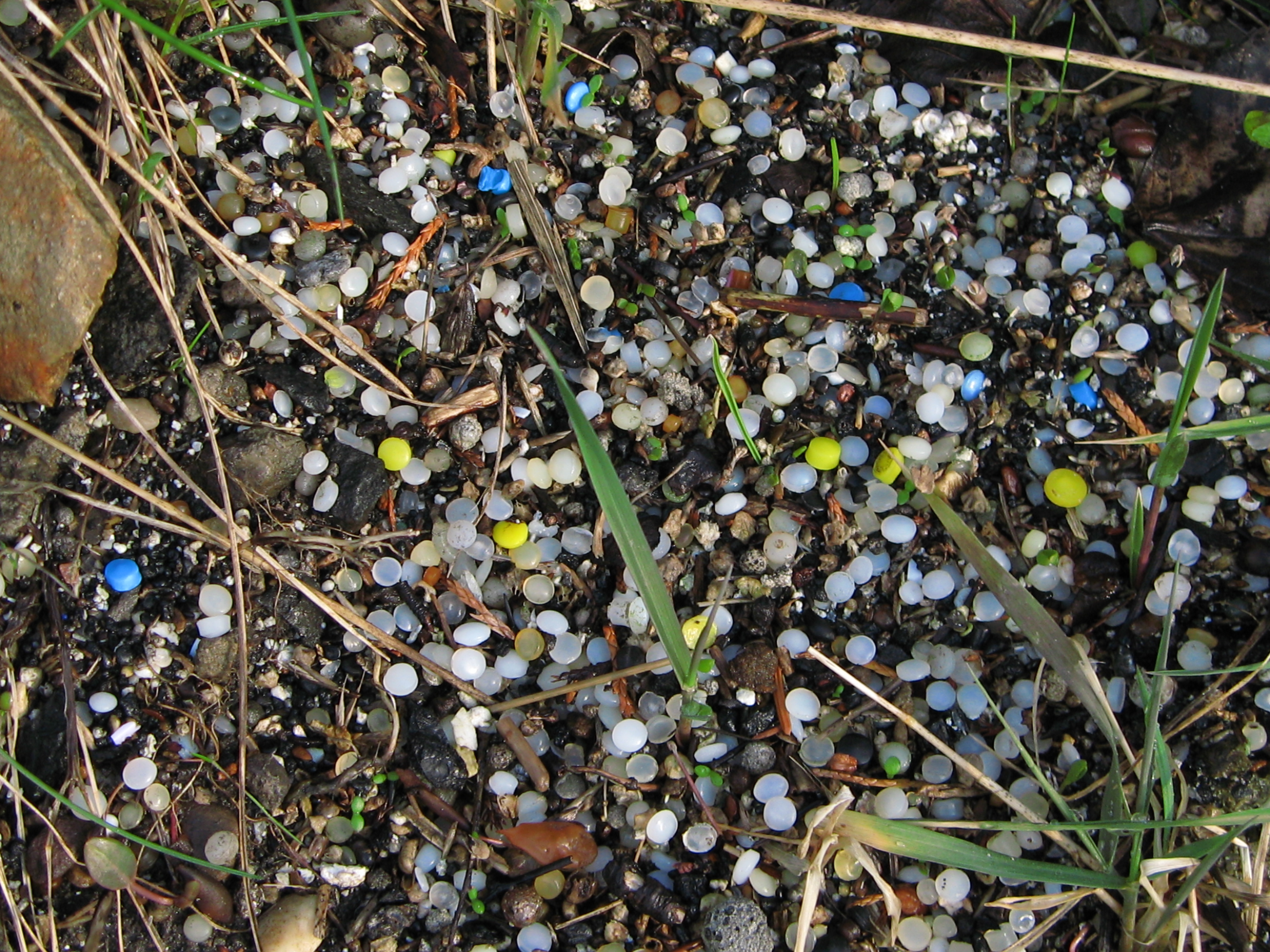 Plastic Nurdle Pollution