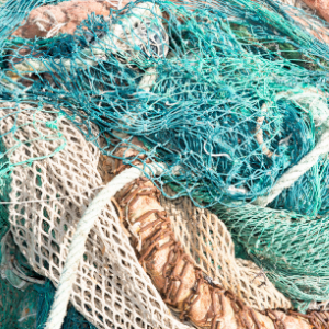 Fishing nets