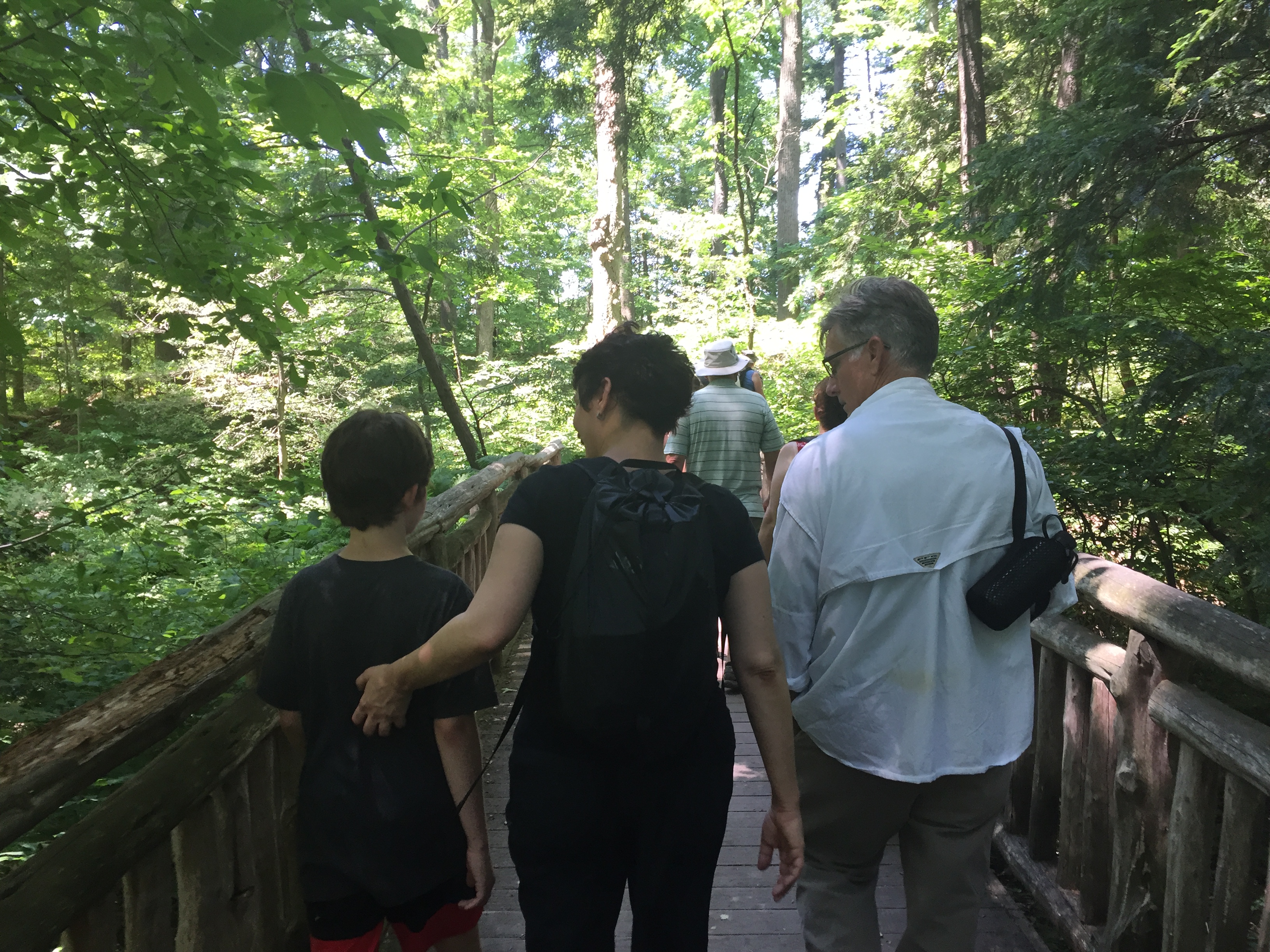 The groups crosses a wooden bridge within a forest