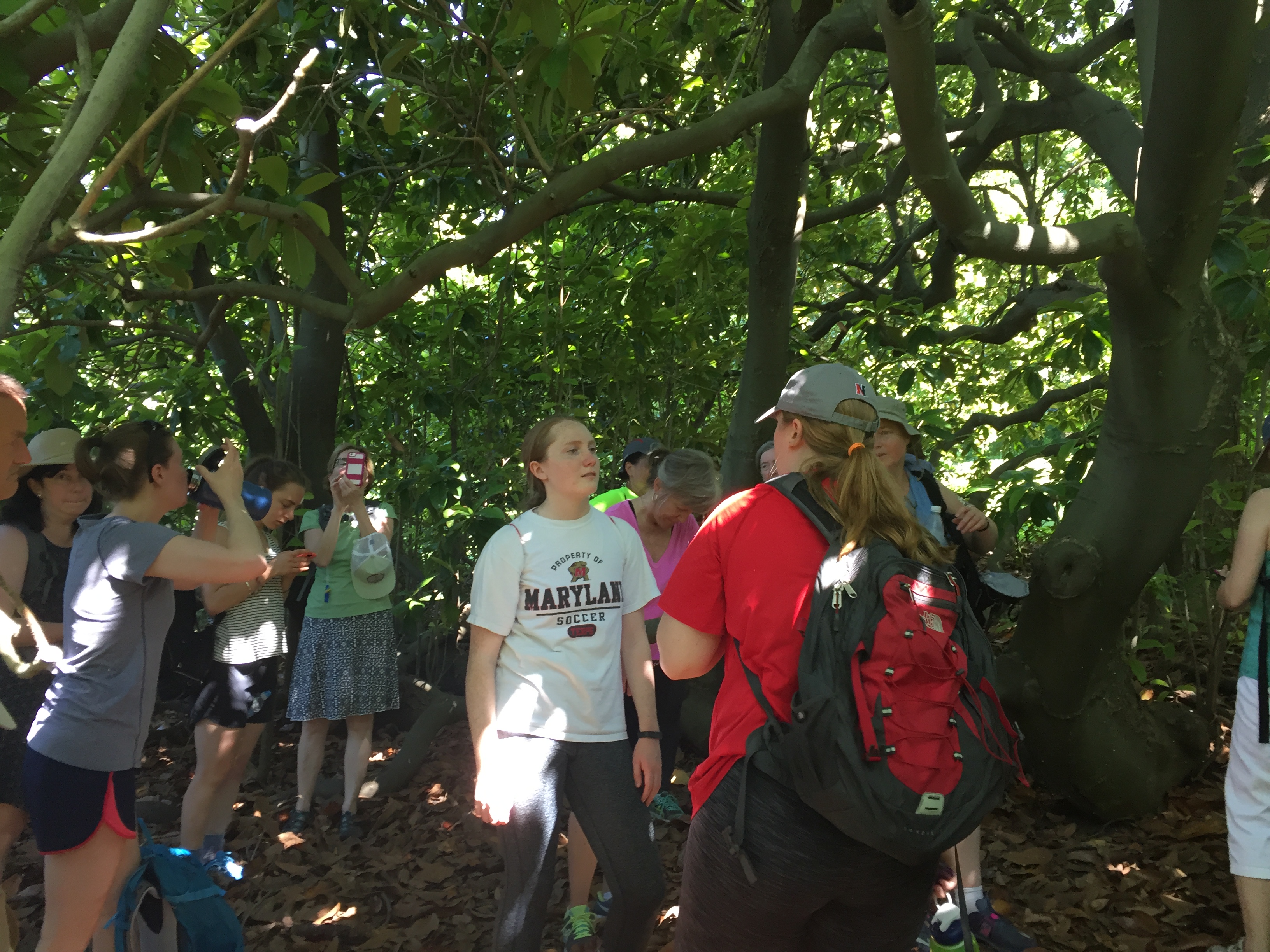 Group gathers underneath a tree
