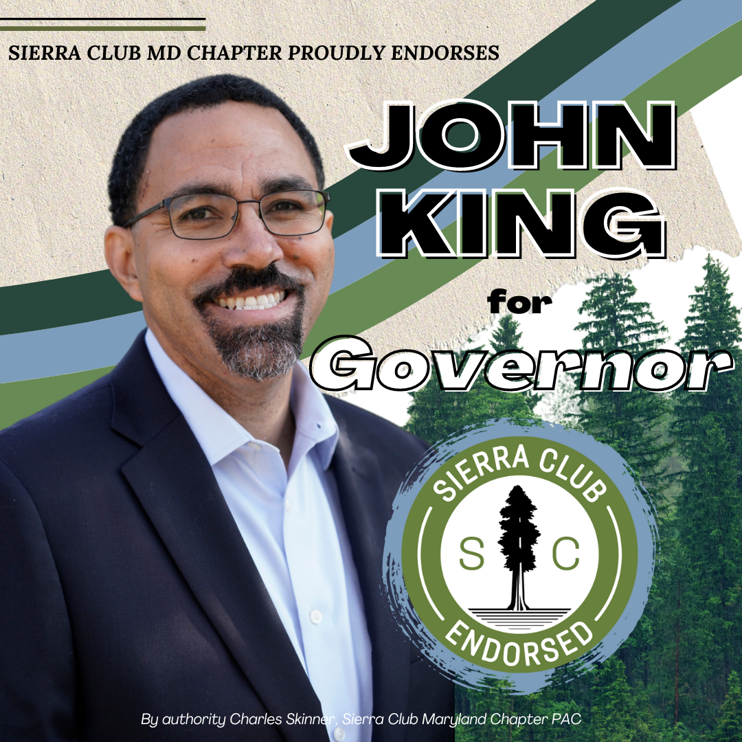 Image of John King for Governor, SC Endorsement