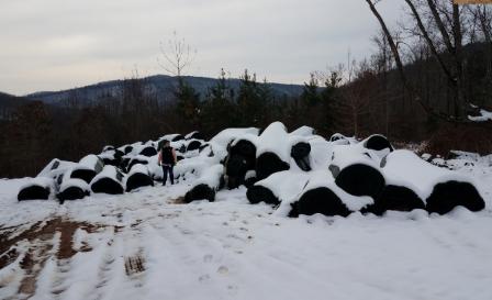Snow-covered piles of rolled turf