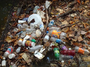 Litter by a stream