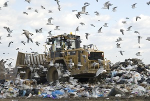 Image of a trash dump