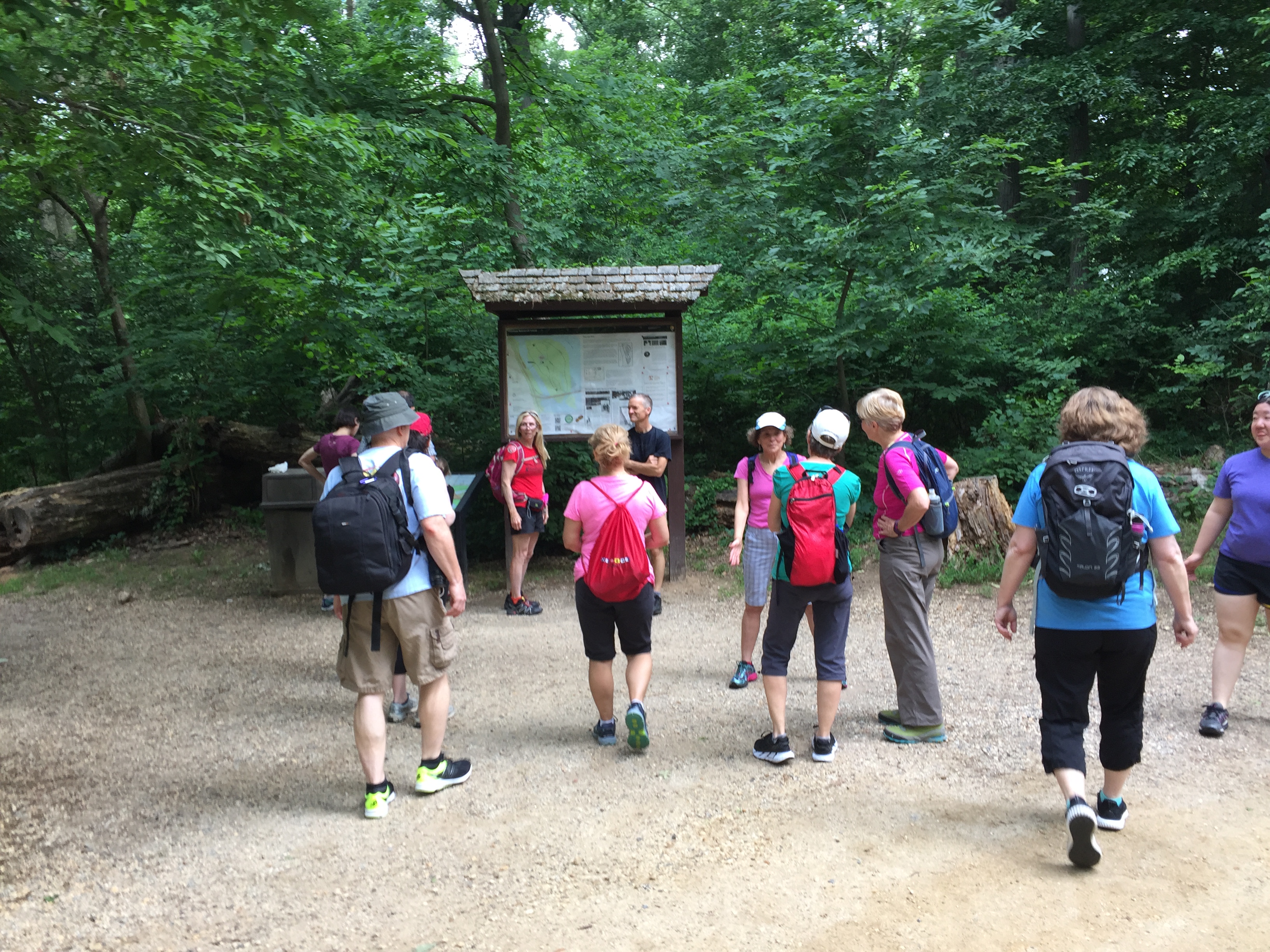 The group gathers at Roosevelt Island