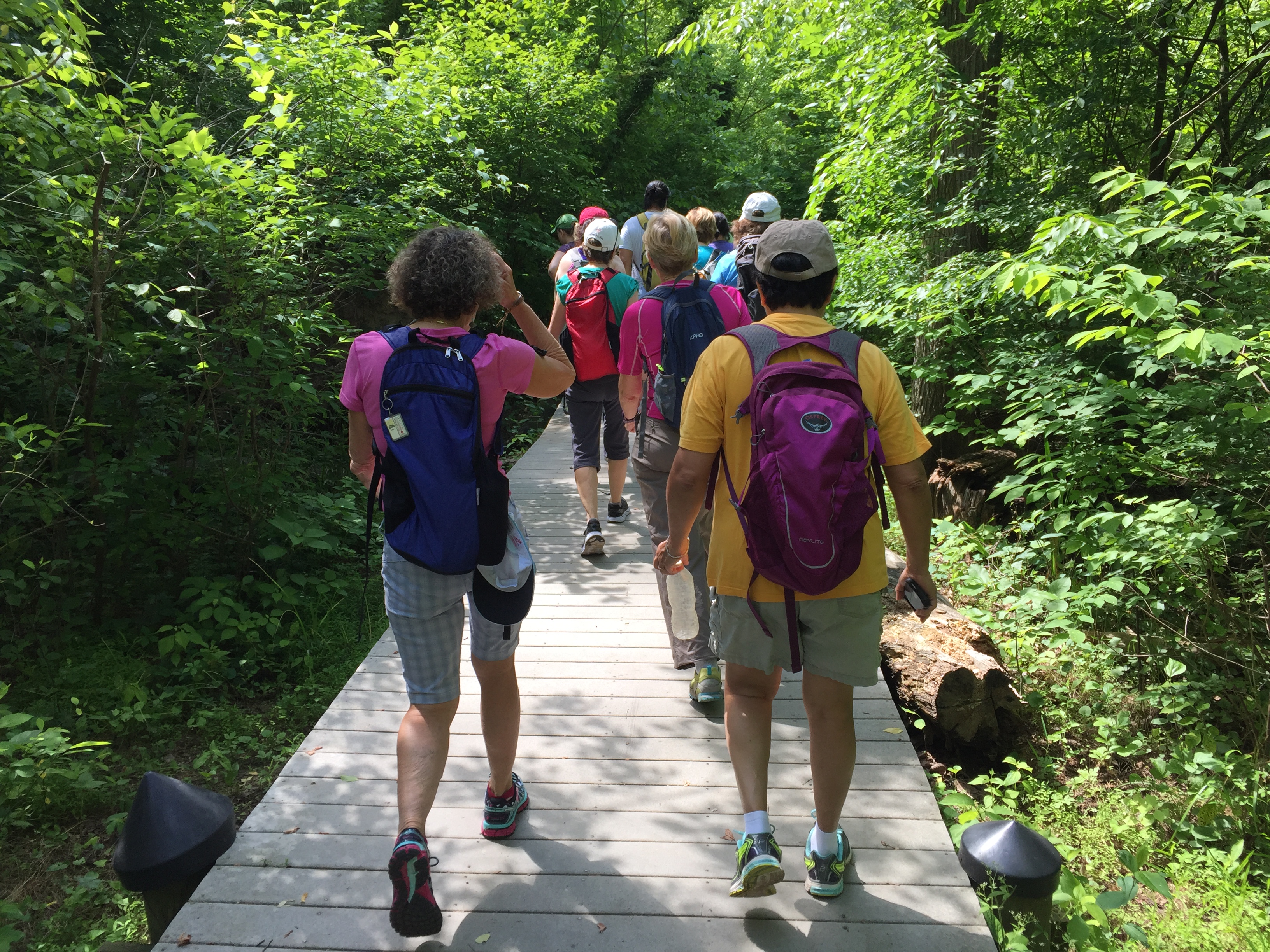 The group walking down a leafy trail