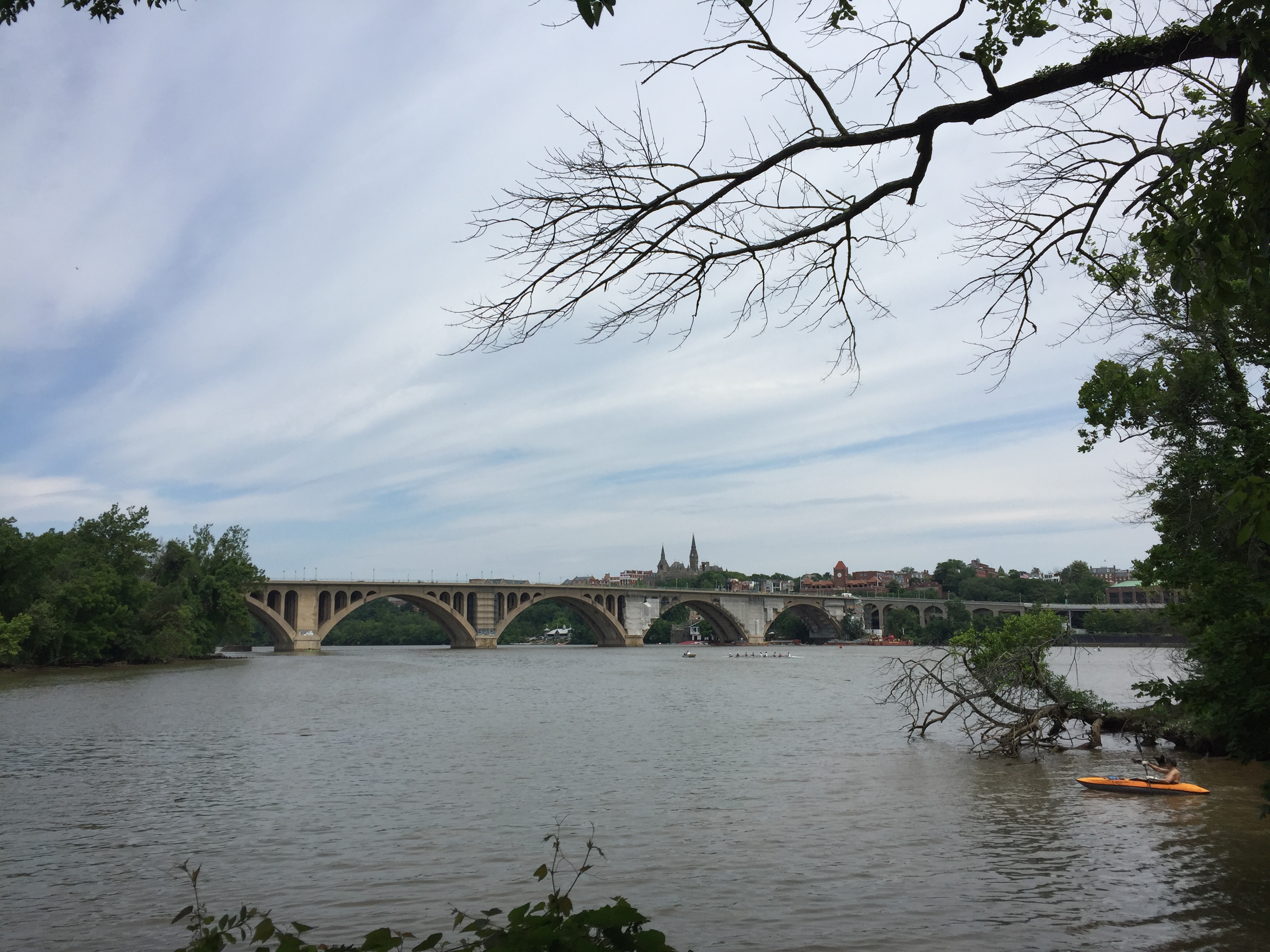 View of a bridge and kayaker from Roosevelt Island