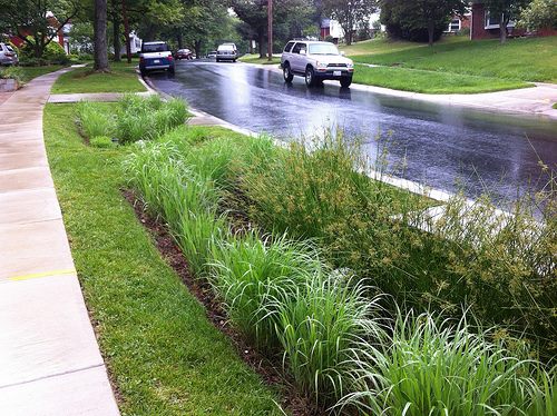 An example of a Green Streets bioswale