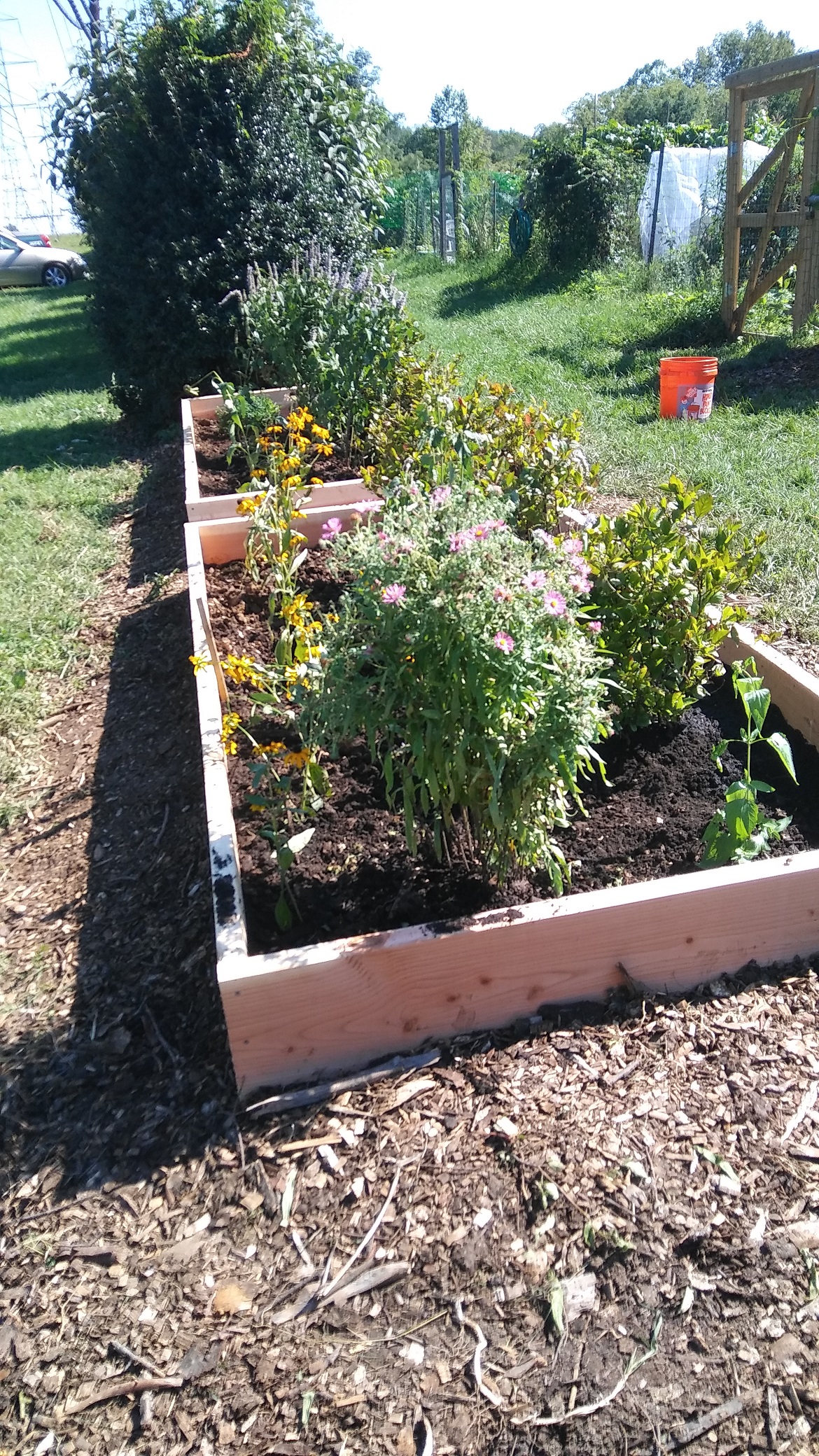 native plant beds