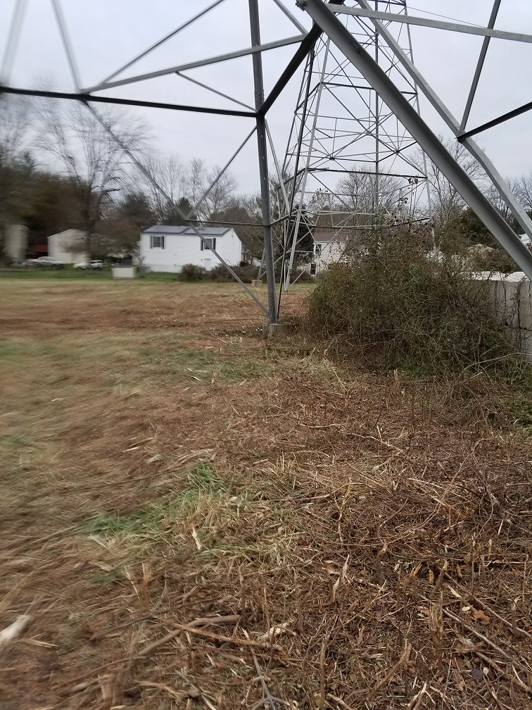Elkhorn meadow after mowing