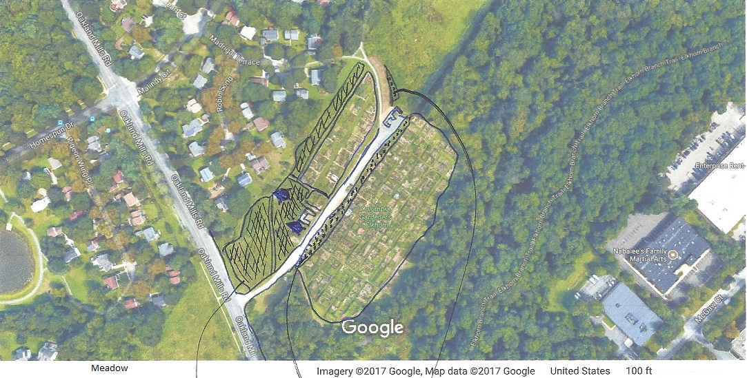 satellite image of meadow