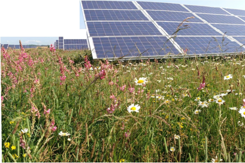 solar array in field