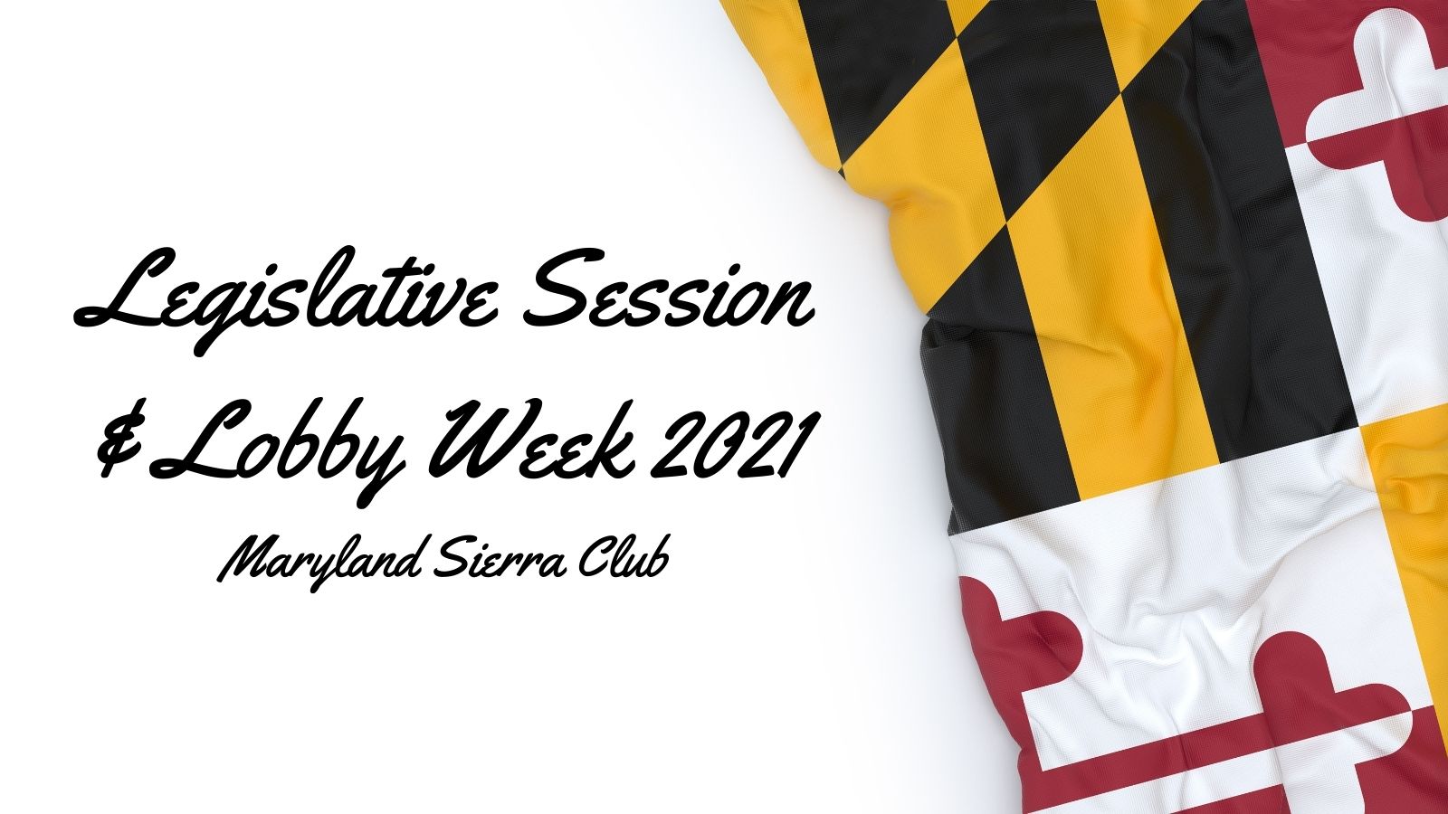 legislative session, lobby week 2021 - md flag