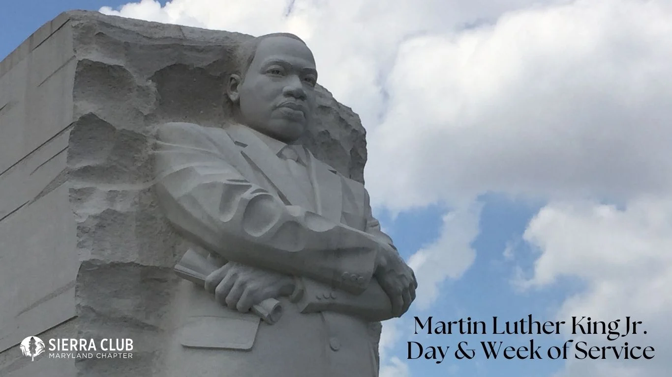 MLK statue in DC memorial MLK stone statue in DC memorial, blue sky, white clouds