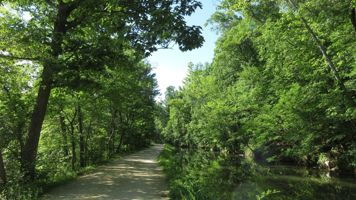 canal trail with green full trees alongside both canal and path