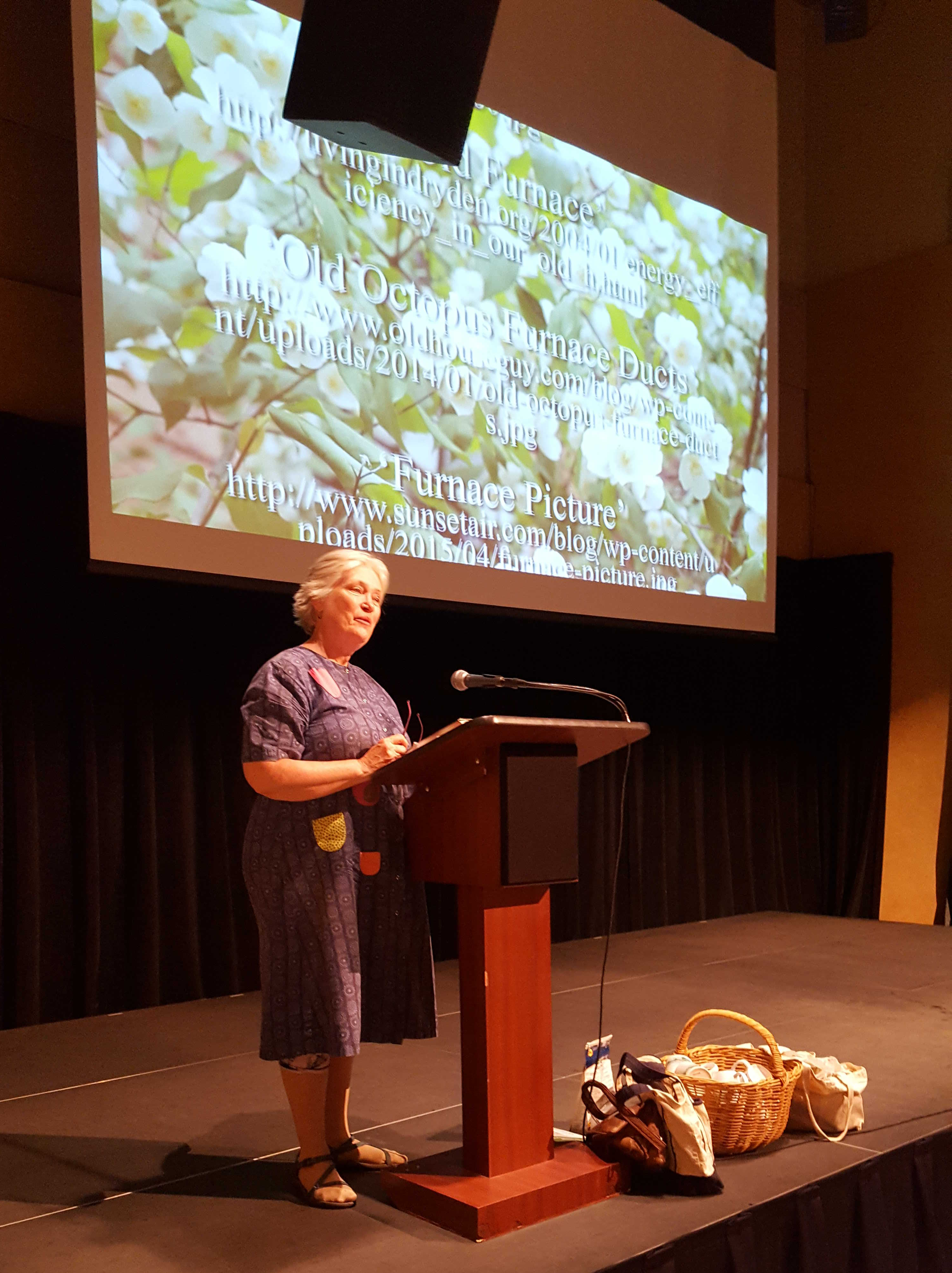 Sue Butler speaking at a podium