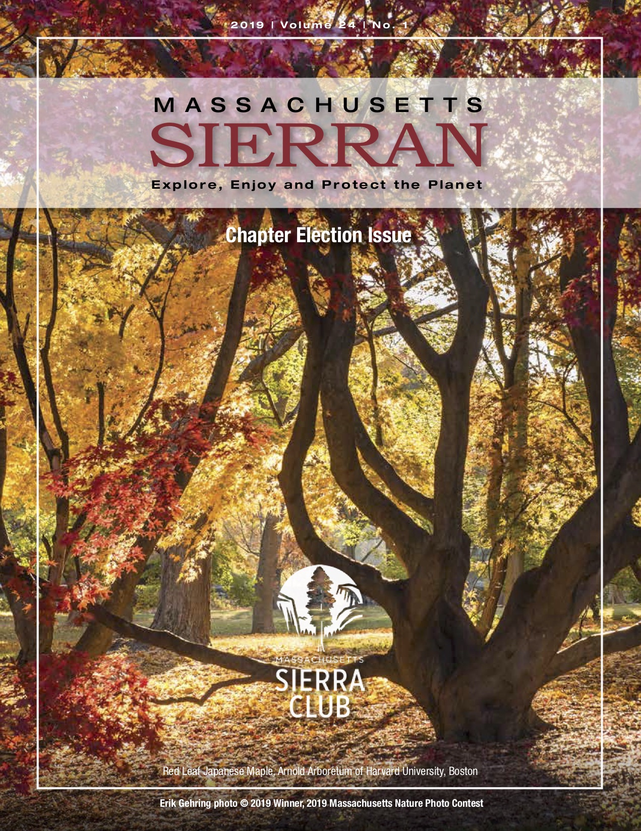 2019 Vol 24 No 1
