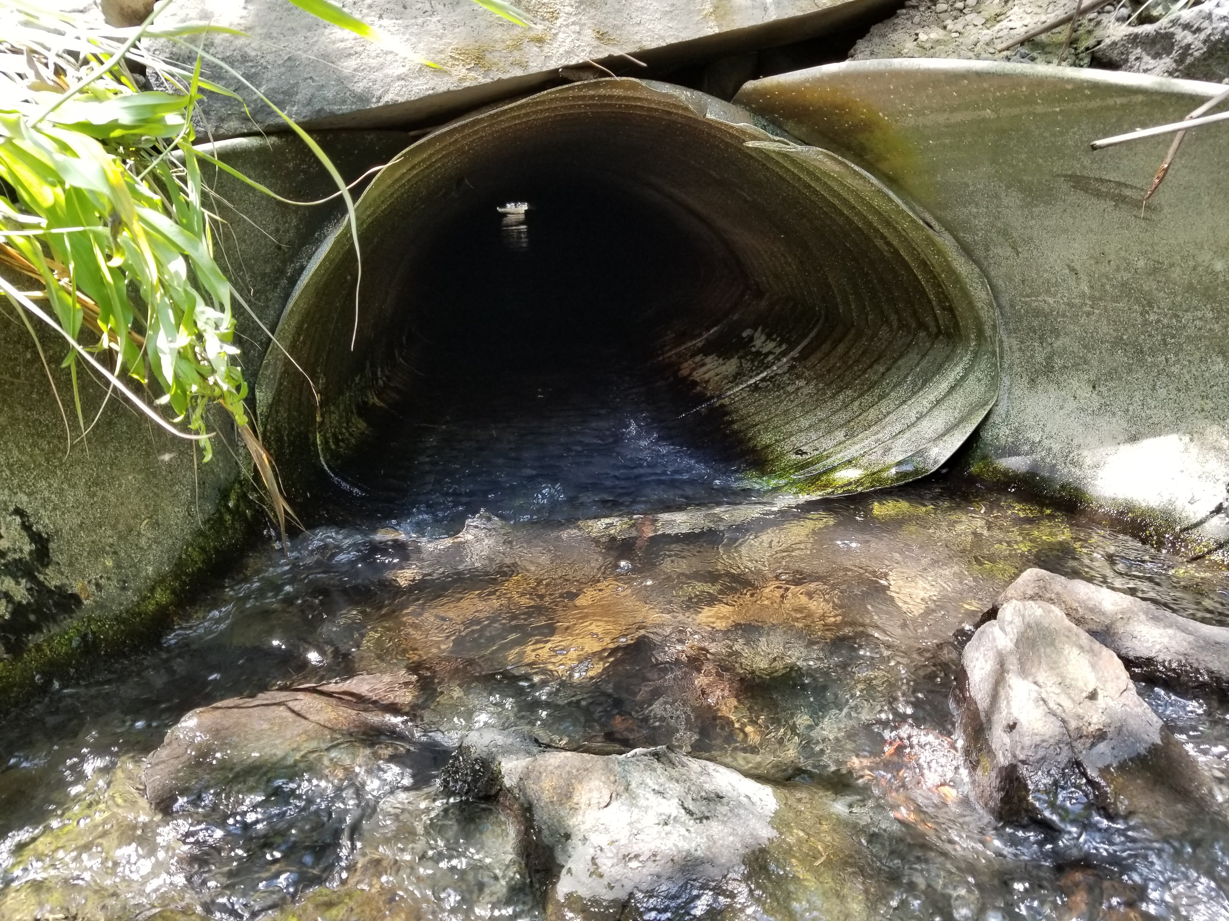 Water flowing through a culvert