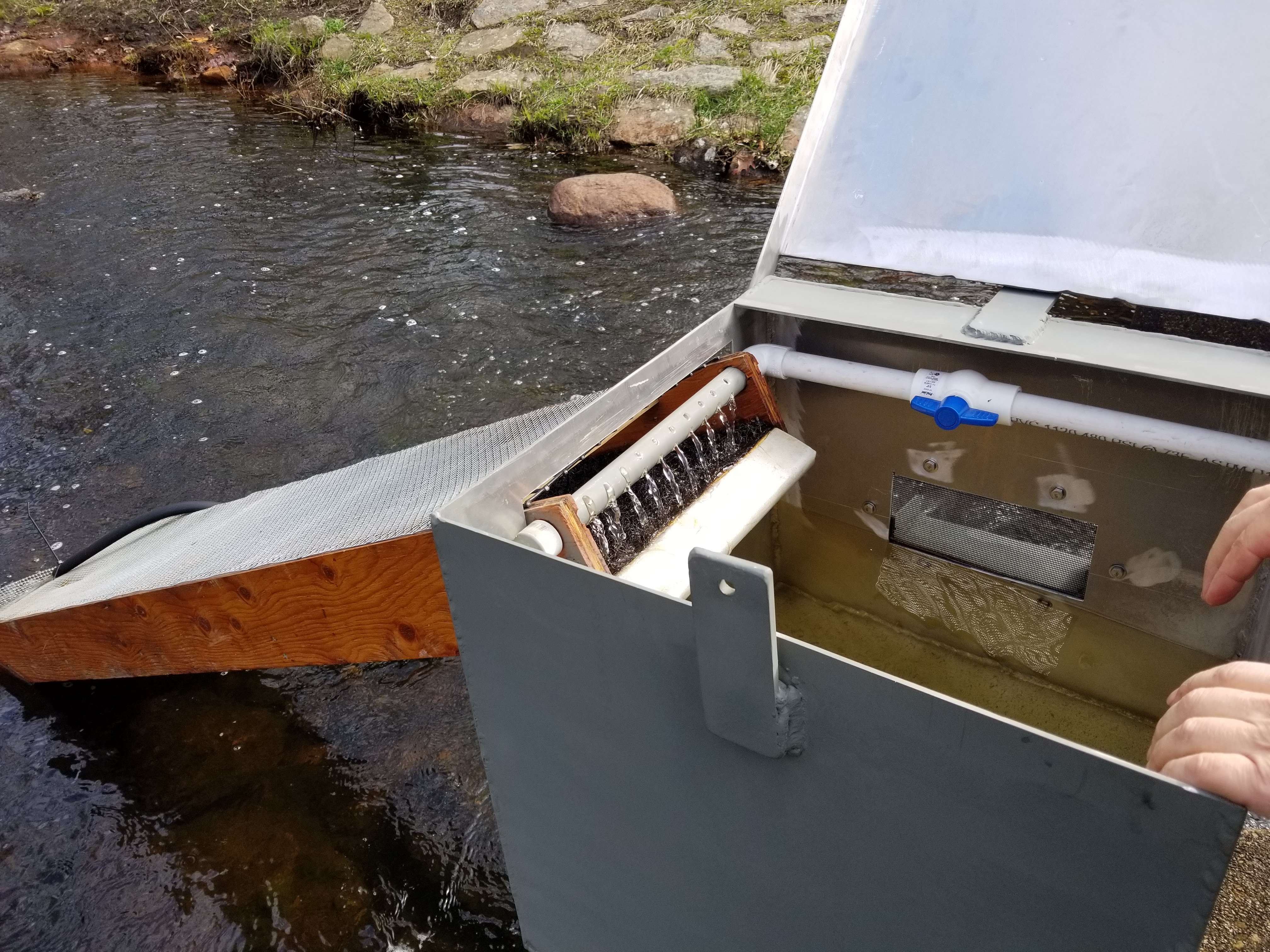 Eel Ladder Smelt Brook