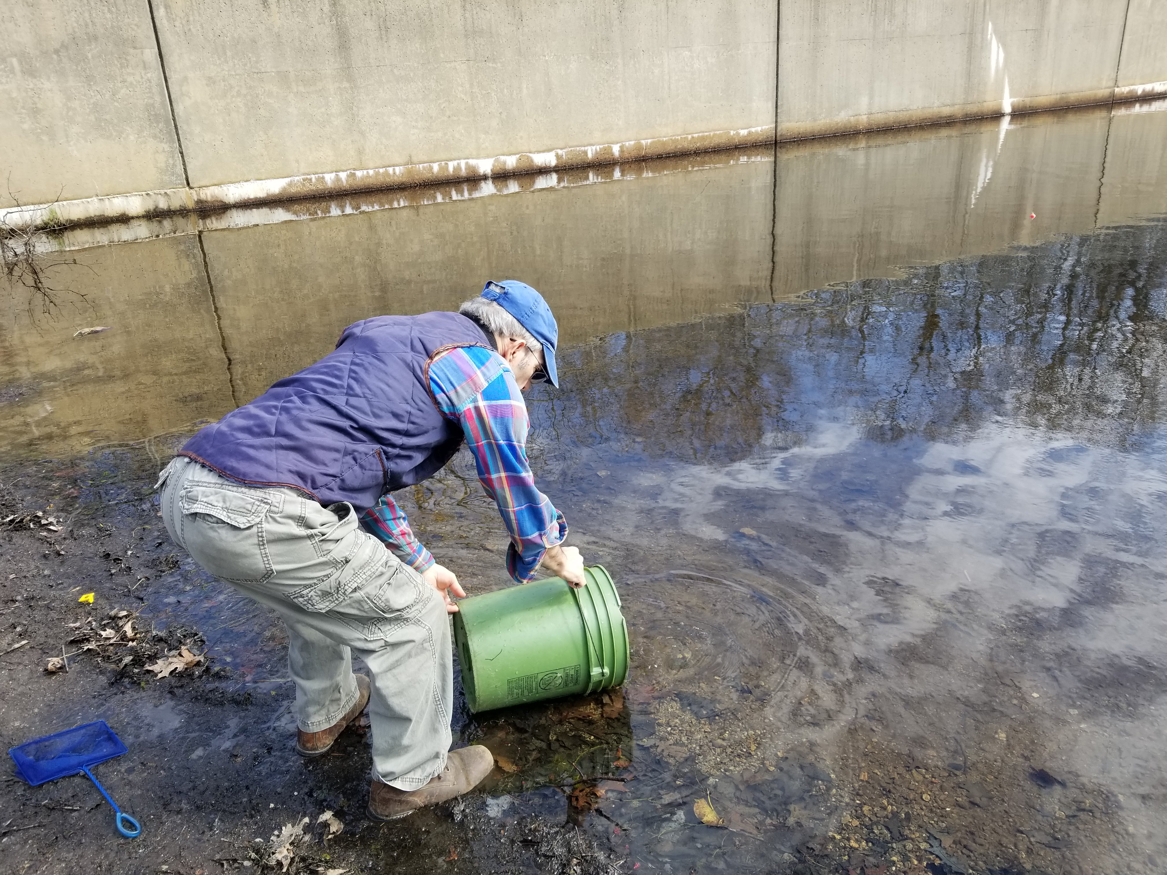 Mike Richardi releasing the eel in Pond Meadow Pond 