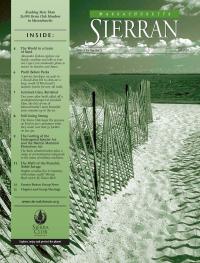 Fall 2003 Vol 9 No 3