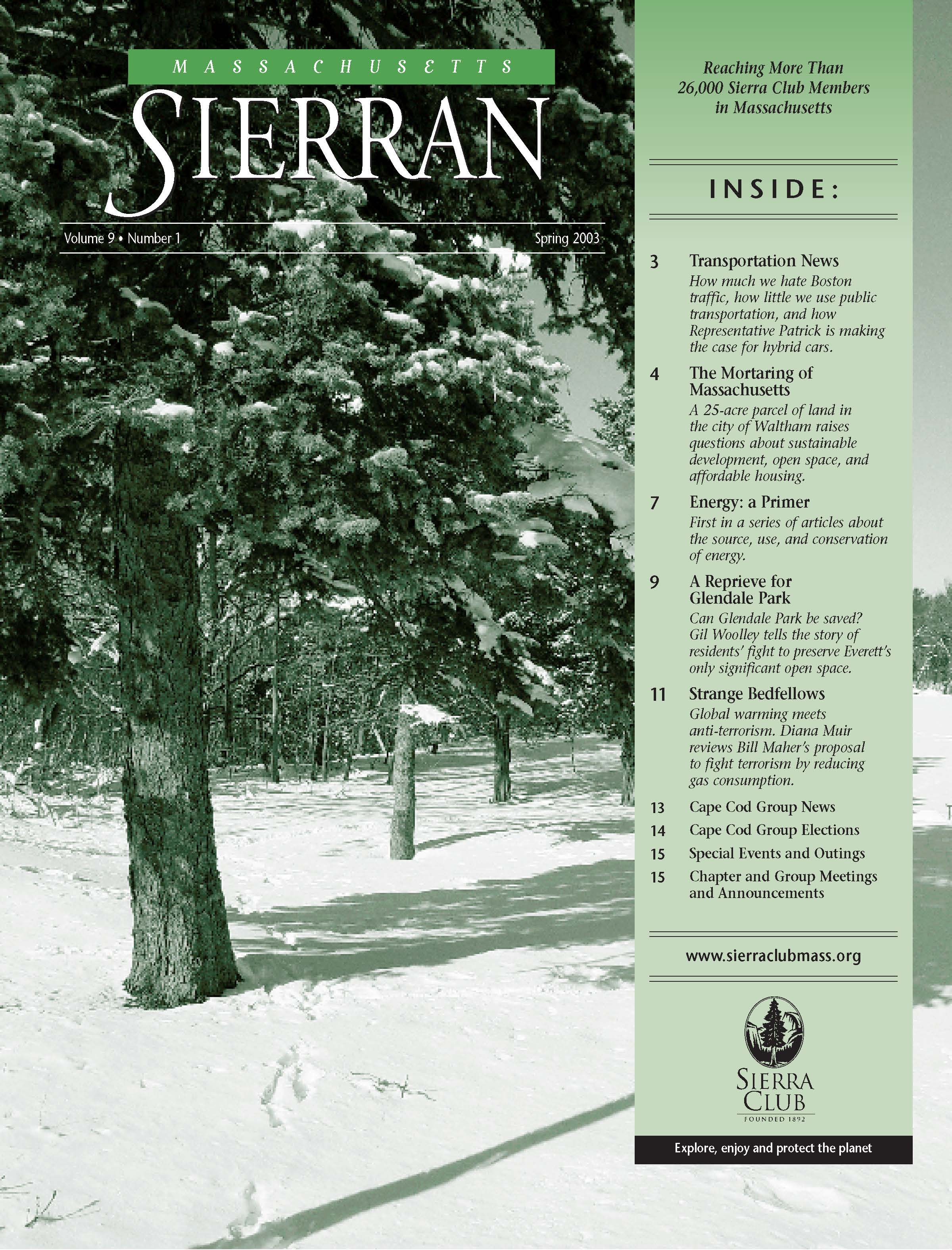 Spring 2003 Vol 9 No 1