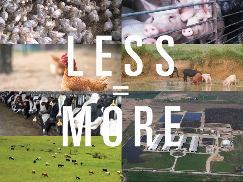 photos of CAFOs  healthy farms