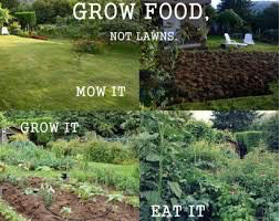 grow food, not grass