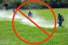 herbicide-spraying