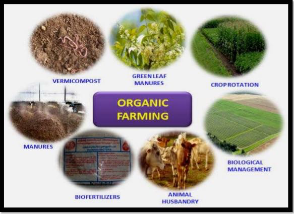 organic farming