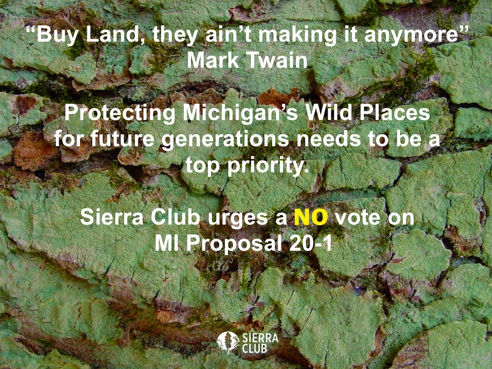 MI Prop 20-1 information