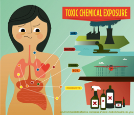 Toxics in You