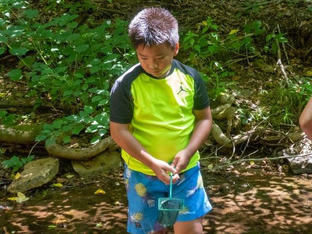 Creek Walk