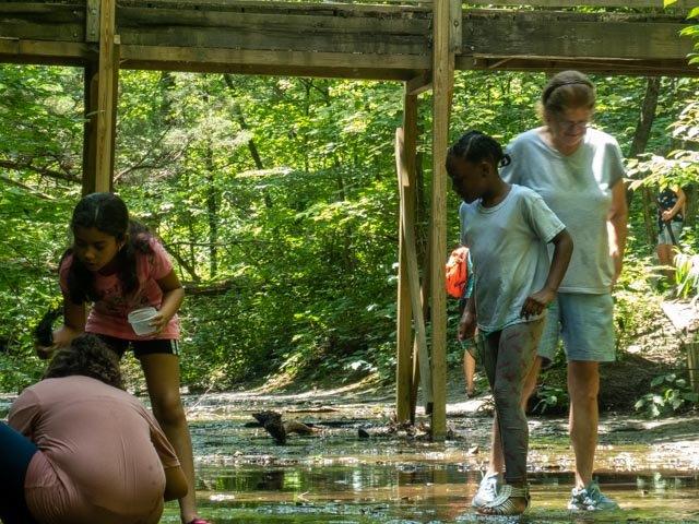 Creek Walk