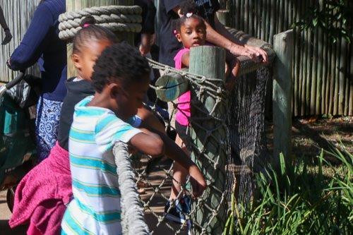 Zoo Summer 2019 1