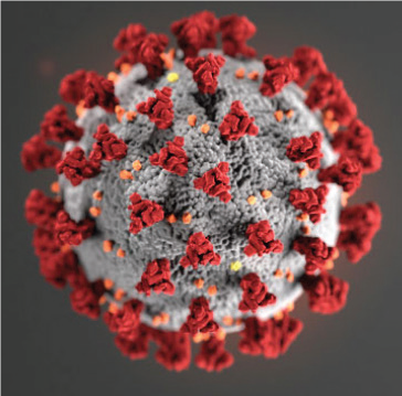 Corona Virus