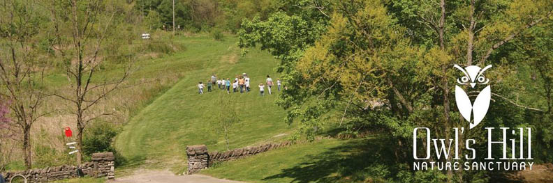 Exploring the Nature Sanctuary
