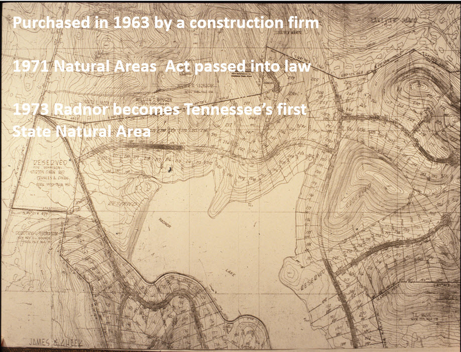 Initial Development Plan