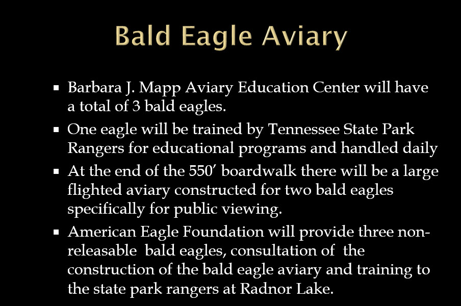 Bald Eagle intro