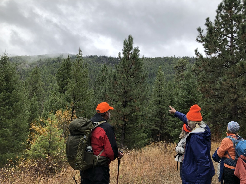 group observing the Mud Creek project area forest on the Bitterroot National Forest