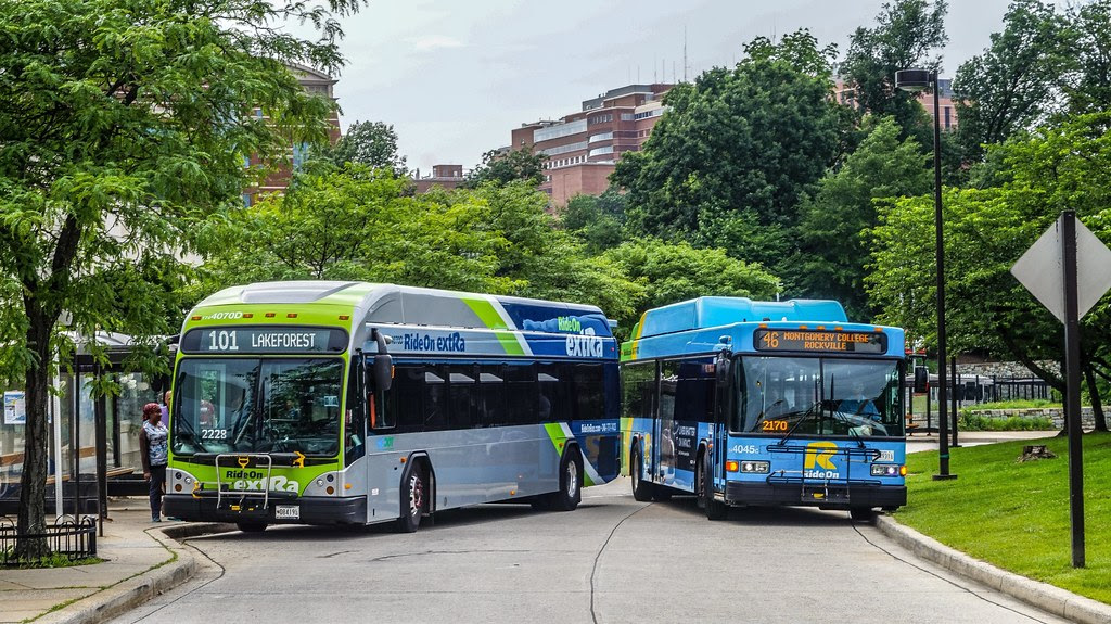 Ride On buses