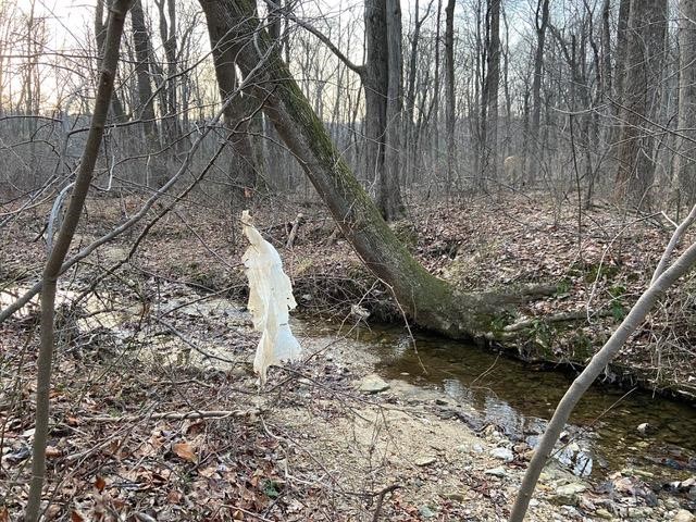 Plastig bag litter