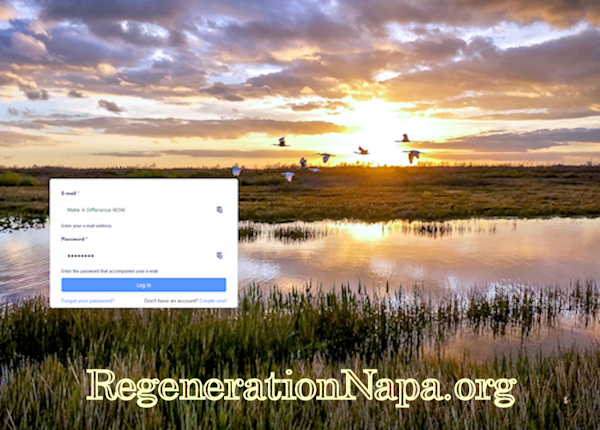 RegenerationNapa.org Sign In