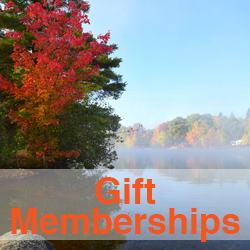 Gift Memberships