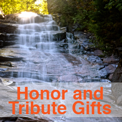 Honor and Tribute Gifts